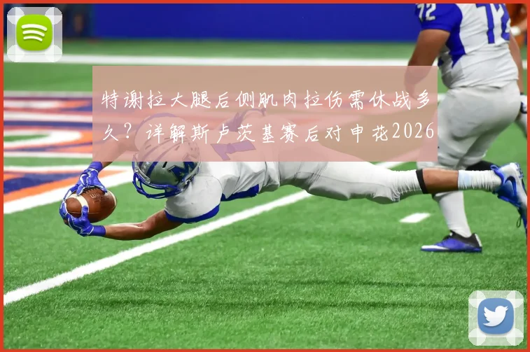 特谢拉大腿后侧肌肉拉伤需休战多久?详解斯卢茨基赛后对申花2026赛季低级失误的批评与调整方向