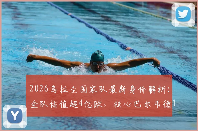 2026乌拉圭国家队最新身价解析：全队估值超4亿欧，核心巴尔韦德1.2亿领衔，哪个位置最值钱？