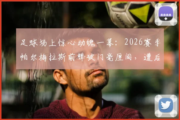 足球场上惊心动魄一幕:2026赛季帕尔梅拉斯前锋破门毫厘间,遭后卫飞脚险爆头(附多角度回放与安全讨论)